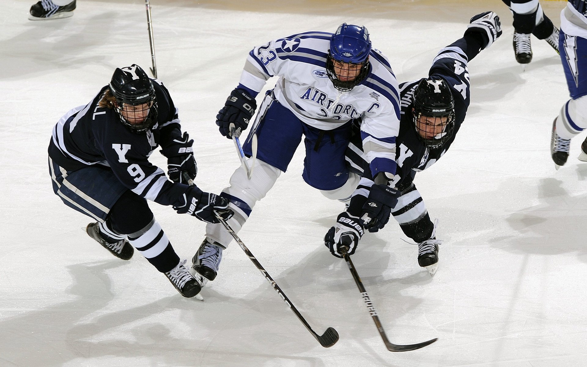 帕利斯特女子800米自由泳赛场亮点，女子800米自由泳2011