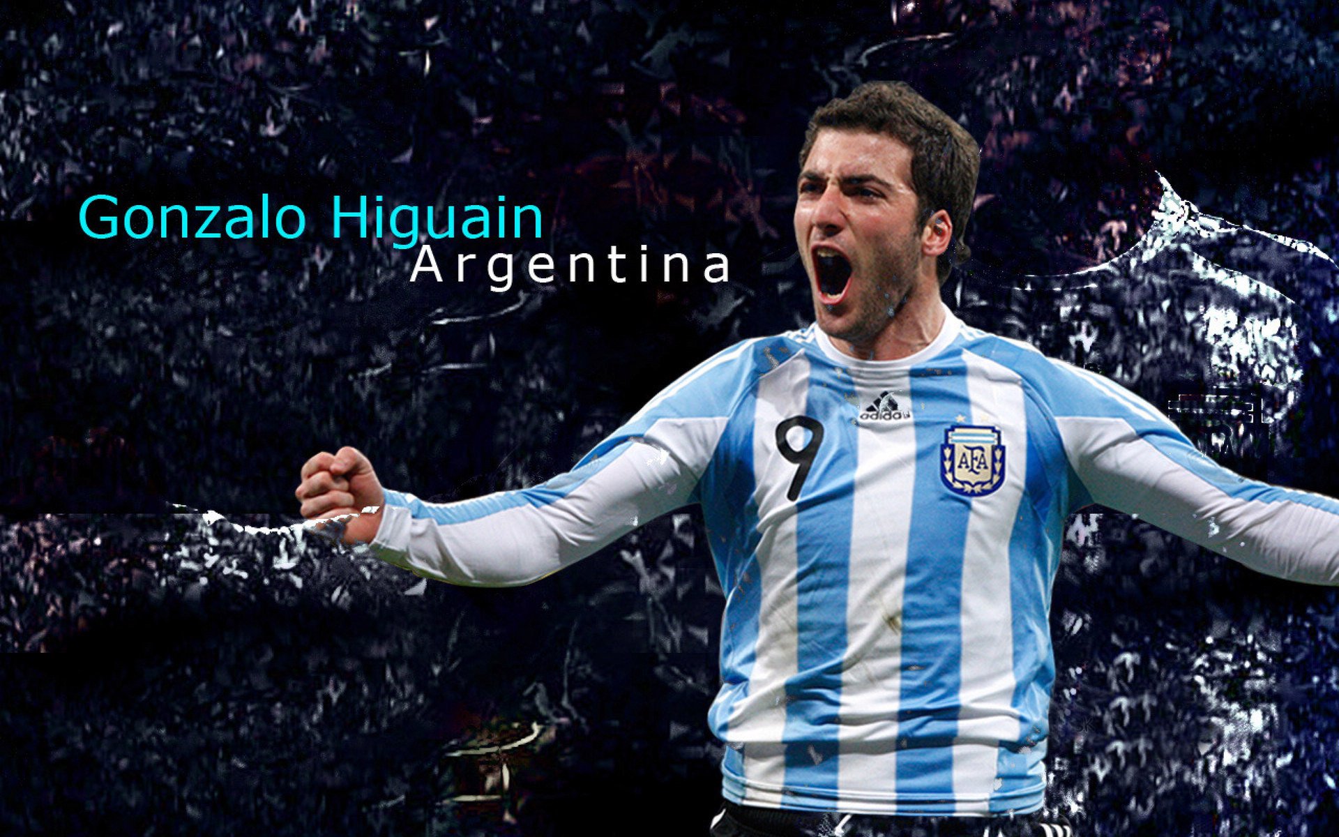 九游入口-爱尔兰青少年橄榄球比赛观众席满座，爱尔兰式橄榄球